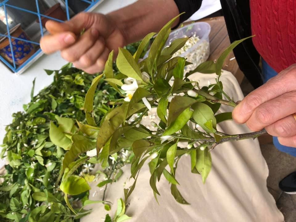 Çiçek suyu (Mayt Zahır) Nasıl yapılır?