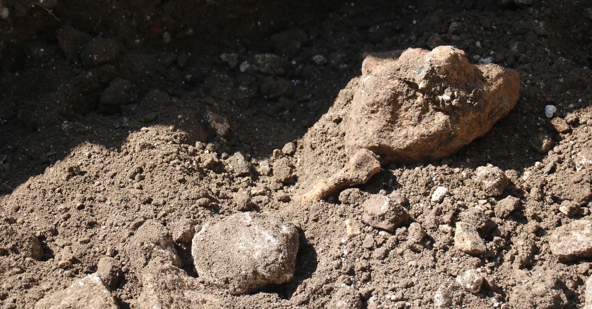 Avrupa’da 1200’e yakın yerde ismi var ama… Sivas’ta aranıyor