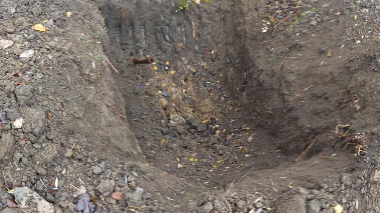 Tekirdağ’da kaçak define kazısı yapan 7 kişi yakalandı