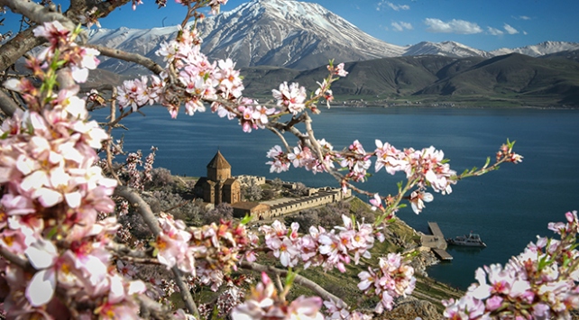 Akhtamar Adası badem çiçekleriyle renklendi (Foto)