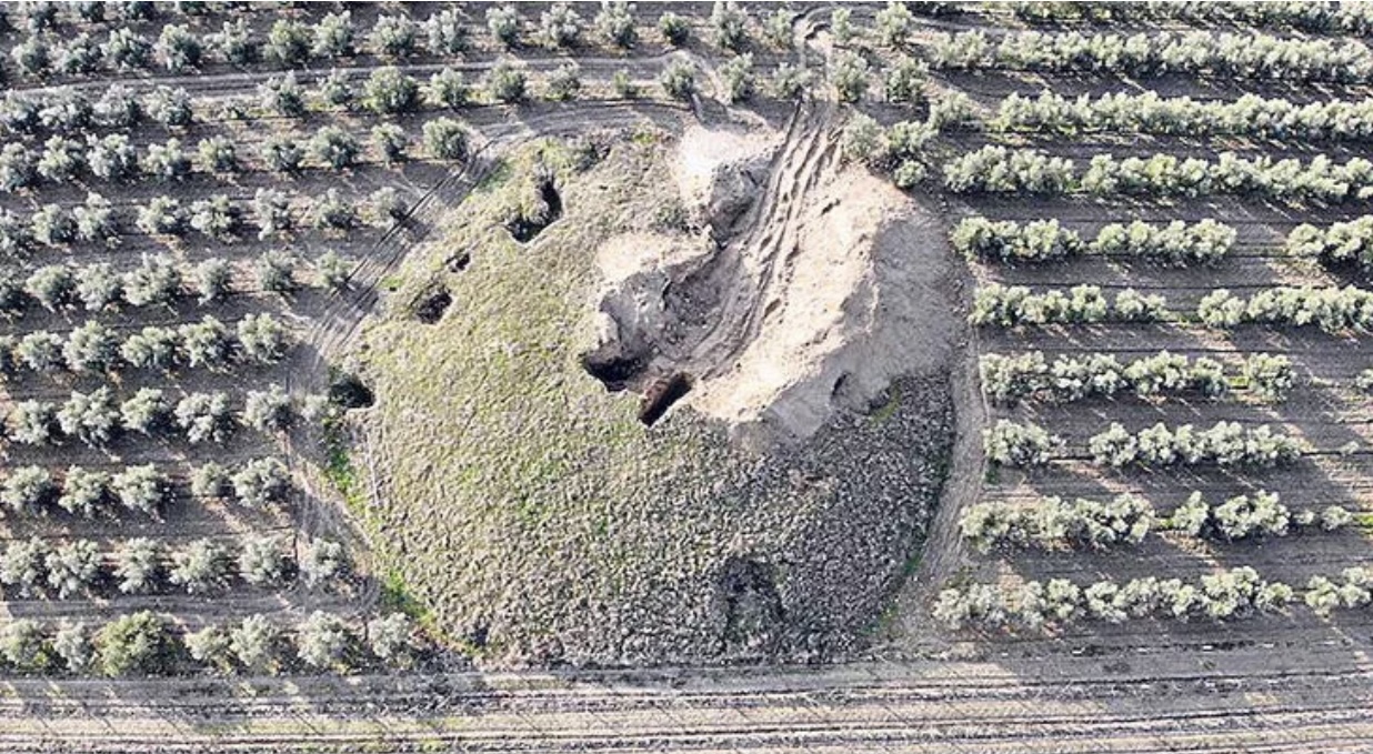 Vandallık pandemisi! Her açıdan büyük kayıplara yol açıyor
