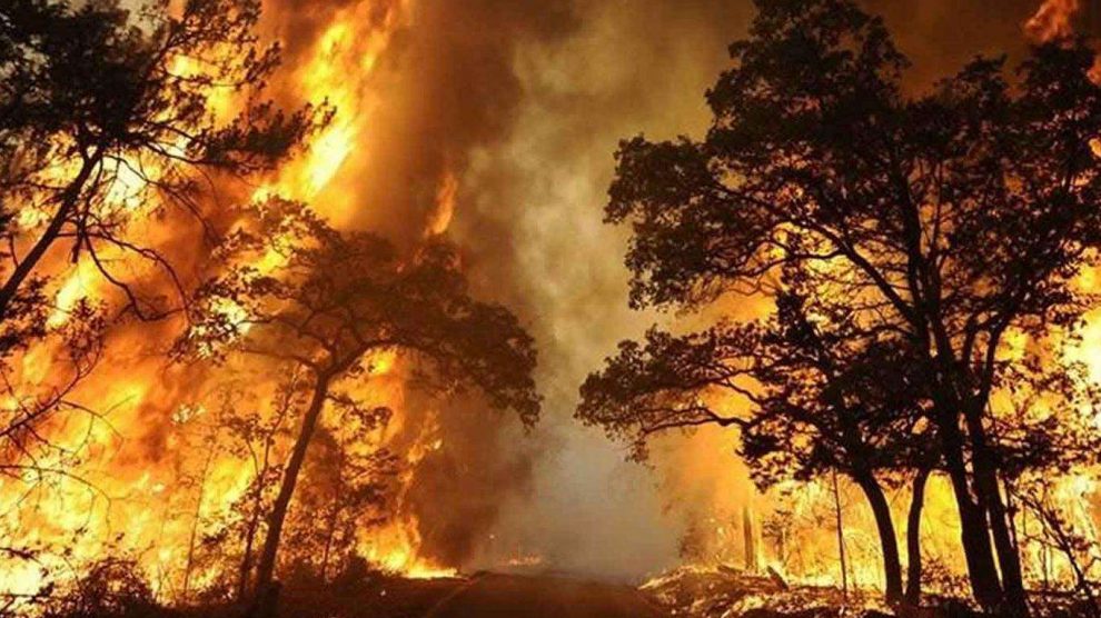 Doğal afetlerin gizemi