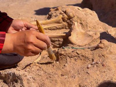 Çavuştepe Kalesi’nde mühür ve takılarıyla gömülen kadın yöneticinin mezarı bulundu
