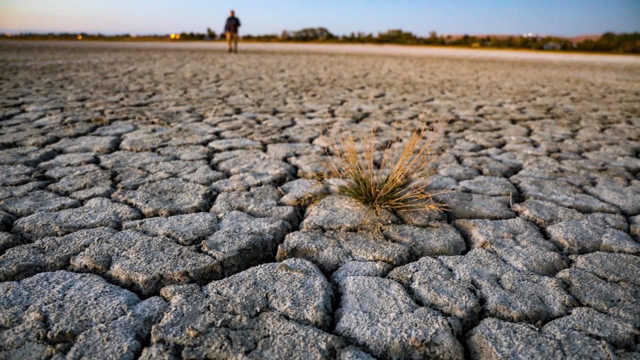 Kuraklık, Van Gölü’nün 10 kilometrekaresini yuttu