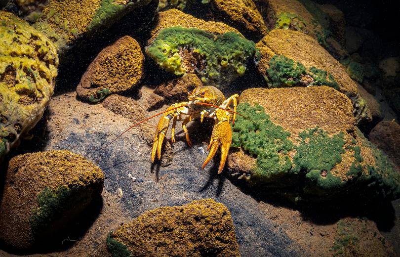 Sevan Gölü’nün derinliklerinden muhteşem manzaralar (Foto)