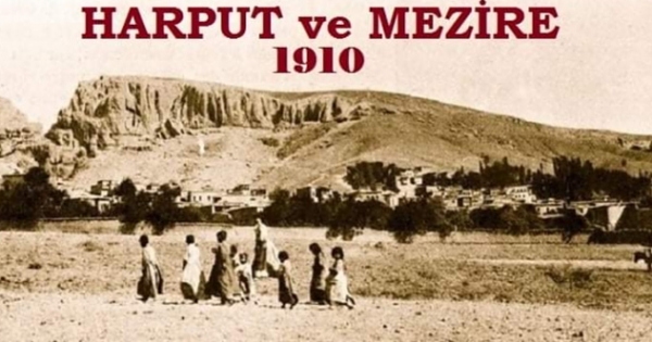 Elazığ’daki (Harput-‘Akunq’ web sitesi) zeytinliklere ne oldu?