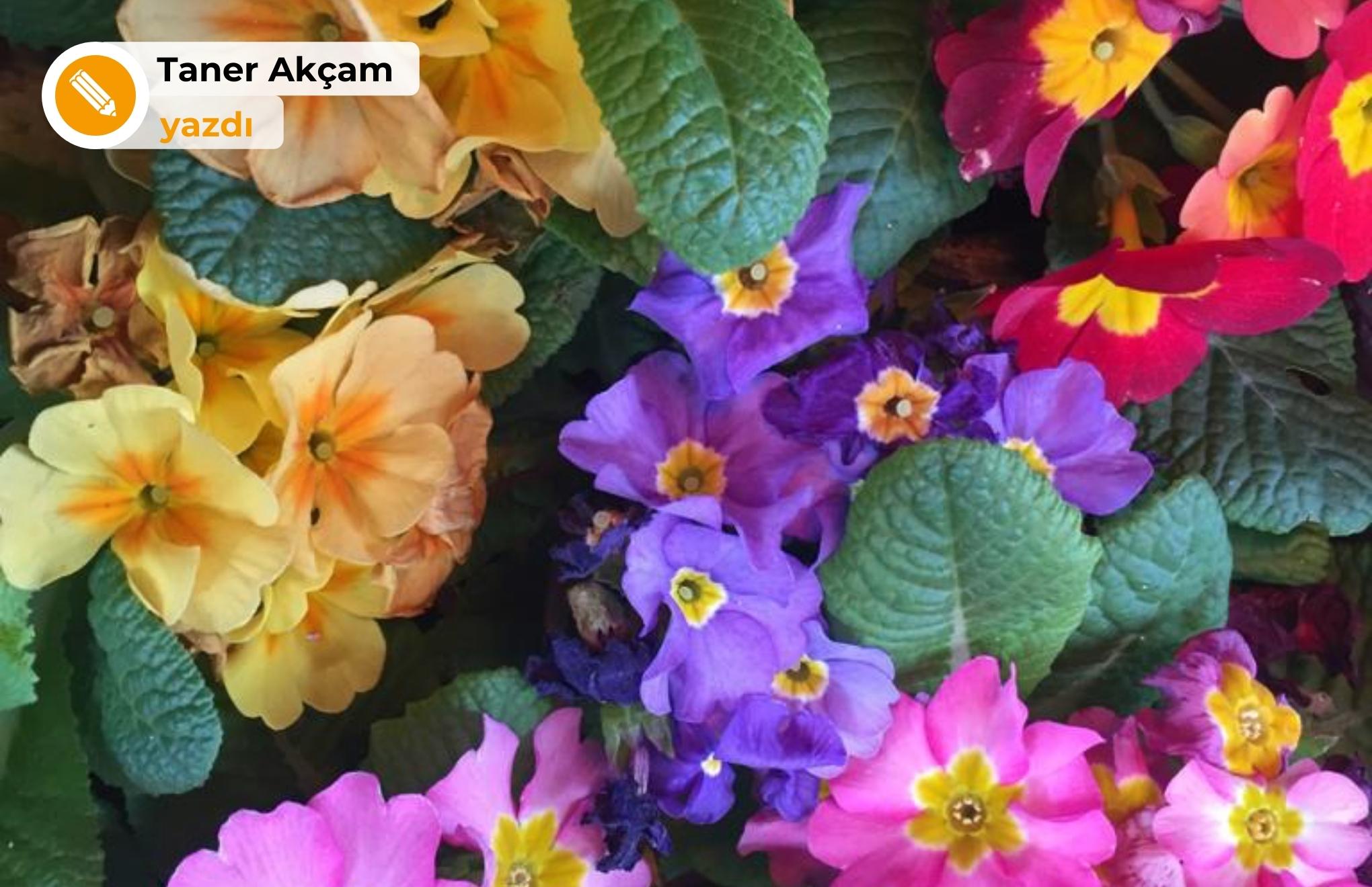 Kurtuluş Savaşı ve Kuruluş Yılları ile yüzleşme-helalleşme ilişkisi