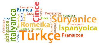 Öğretmenlerin, Aktivistlerin ve Medyanın Gözünden MEB Okullarında YAŞAYAN DİLLER VE LEHÇELER SEÇMELİ DERSİ