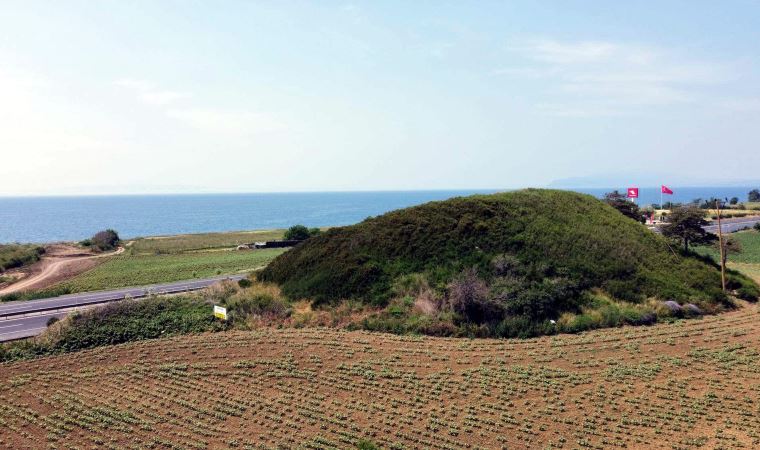 Tümülüslerde define arayanlara müdürden tepki: ‘İnsanlığa karşı işlenen suç’