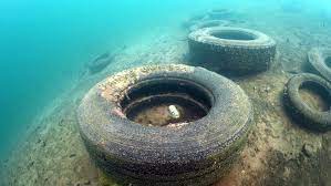 Van Gölü’nde ‘trafik canavarı’ varmış