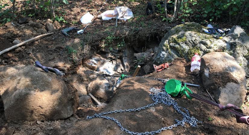 Ordu’da defineciler fındık bahçesinde yakalandı