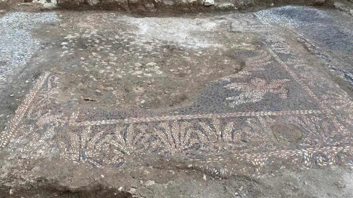 Sinop’ta ortaya çıkarıldı! ‘Çok ilginç bir buluntuyla karşılaştık’