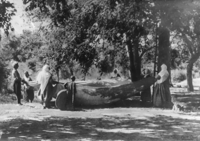 Diyarbakır’ın dut ağaçları ve ipek kozaları nereye gitti?