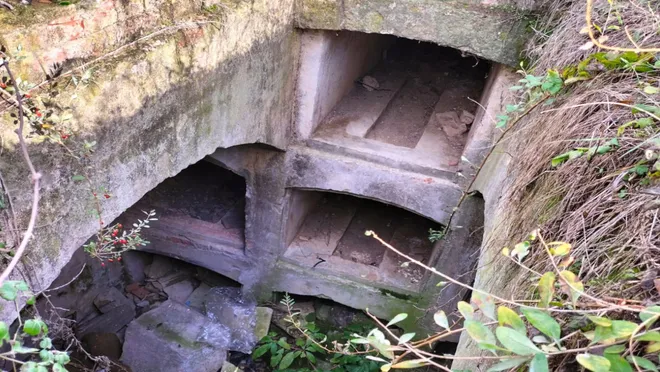 Prof. Dr. Beksaç: Edirne’deki Katolik mezarlığı bakımsızlıktan çürüyor