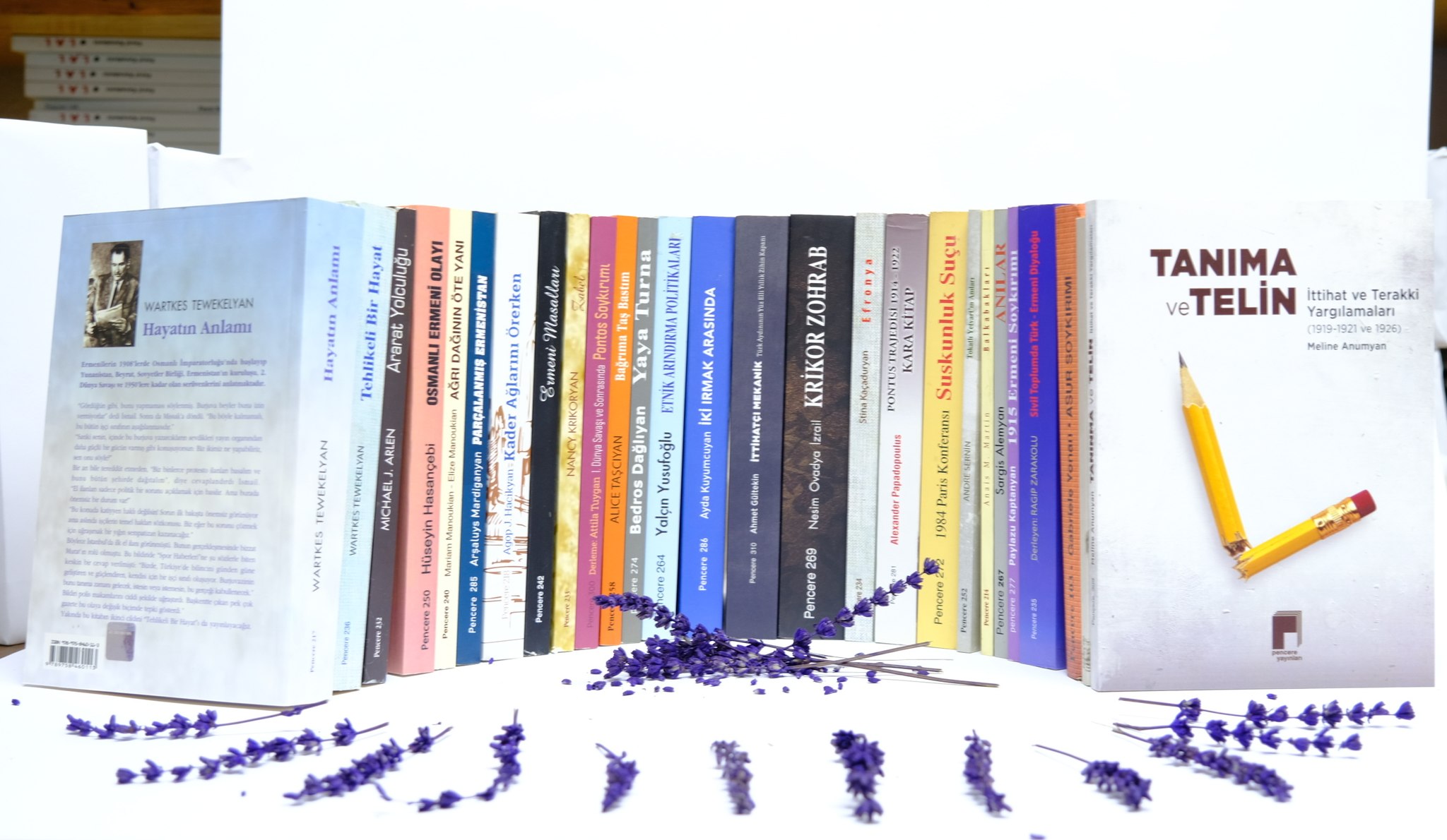 Bir başka “Pencere”