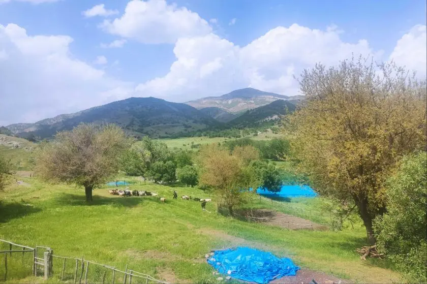 Köyleri baraj altında kalacak Segedikliler: Burada bir tarih var