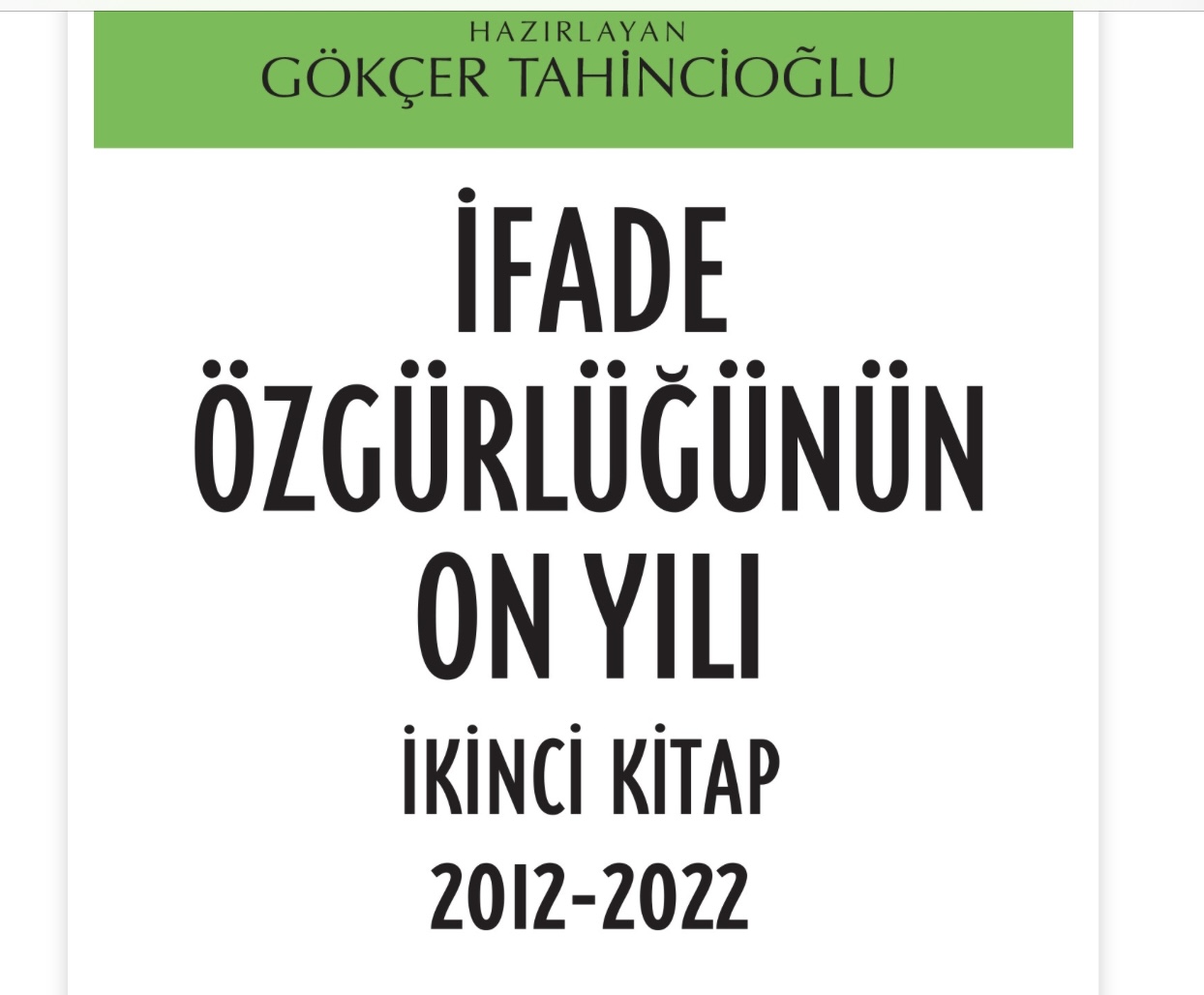 “İfade Özgürlüğünün On Yılı” mercek altında