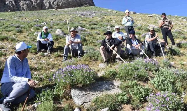 Batman’ın Sason ilçesinde bulunan 3 bin rakımlı Mereto Dağının zirvesi