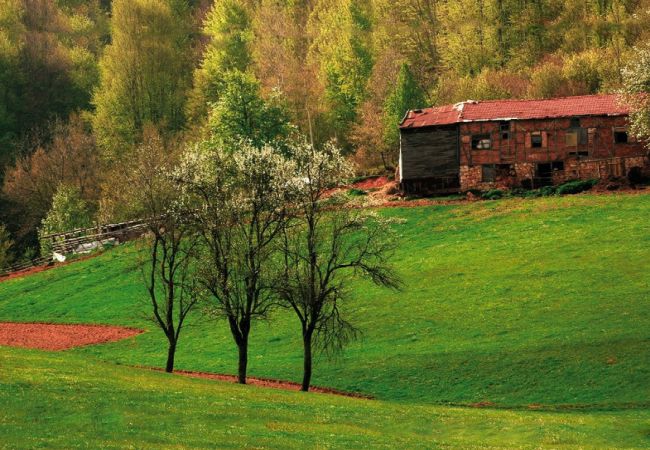 İzmit’in Hemşinli Köyleri