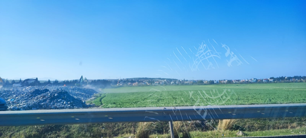 Kayısı, zeytin, acı biber, dut, ceviz de depremzede olmasın!