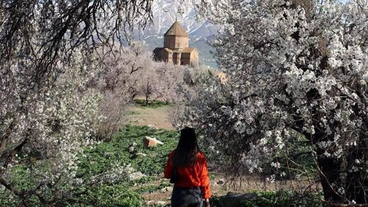 Akdamar (Akhtamar-‘Akunq’ web sitesi) Adası Badem Çiçeği Festivali’ne yoğun katılım