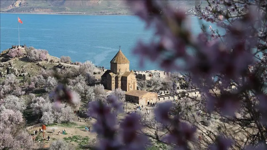 Çiçek açan badem ağaçları Akdamar (Akhtamar-‘Akunq’ web sitesi) Adası’nı renklendirdi