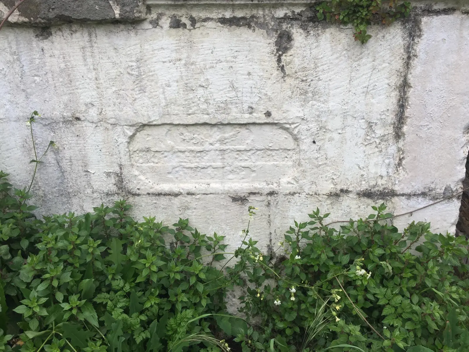 İki gözüm iki çeşme: Ordu’da Ermeni çeşmeleri