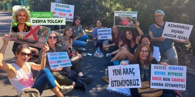 Son İstanbul Adalar’da beş yılda ne oldu, ne olmalı?