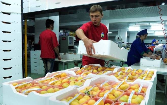 Ermenistan’dan Rusya’ya meyve ihracatı en az iki kat arttı