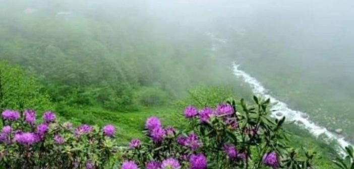 Hemşin’in Orman Gülleri Senozlular “Vartevor” Yollarında!