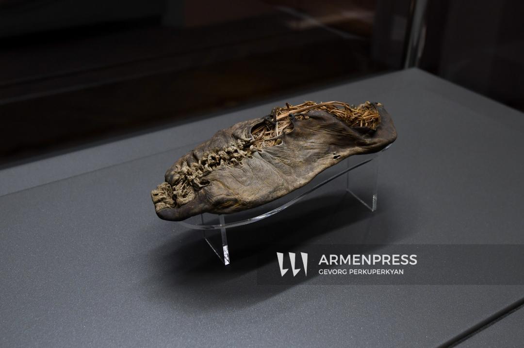 Tarihin hazineleri: Ermenistan’da Areni-1 mağarasında bulunan dünyanın en eski deri ayakkabısı