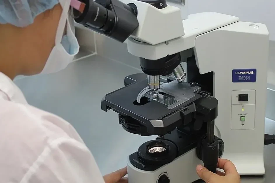 Bilim insanları Herodot’un Ermenilerin Balkanlar’dan göç etmesine dair teorisini çürüttü