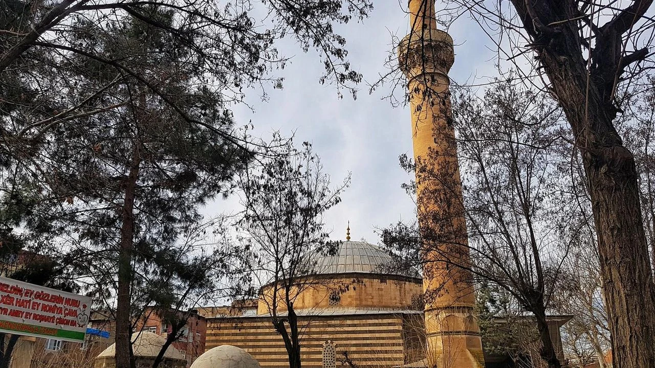 Diyarbakır’da hangi cami ve kiliselerde hangi ağaç türü var ?