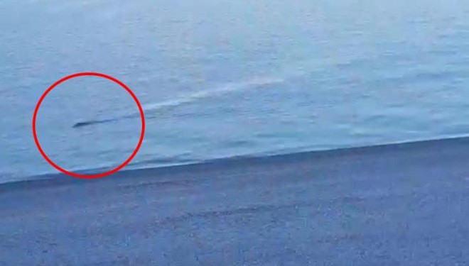 Gazeteci Çetingüleç: ‘Van Gölü canavarı’ efsanesini ben yarattım