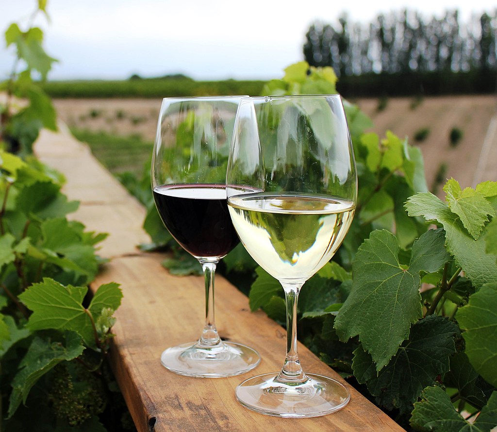 Forbes: Ermenistan “şarabın anavatanı” unvanının 1 numaralı adayı