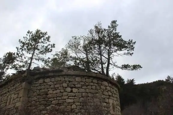 Gümüşhane’de Ayvalos Kilisesi Ve Pavrezi Şapeli İçin Restorasyon Talebi; “Kilise ve Şapelde Ağaçlar Boy Attı”
