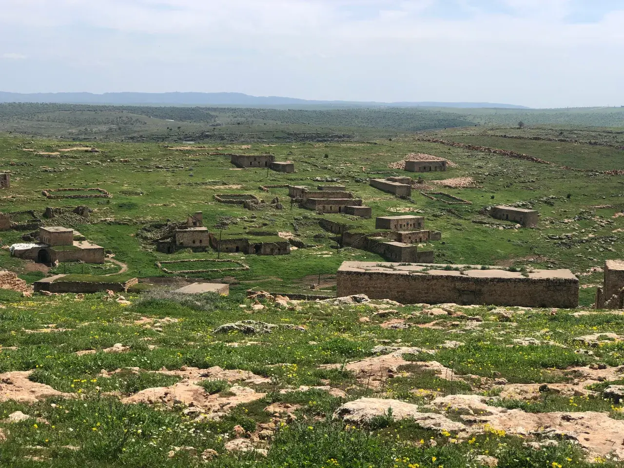 Midyat Ezidileri: Geçmişin Küllerinden Bugüne ‘Öteki’nin de Ötekisi Olmak, Diaspora ve Geri Dönüş