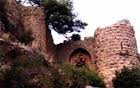 Sarvandikar