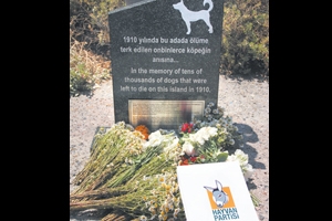 İnsanlar adına özür dileriz köpek