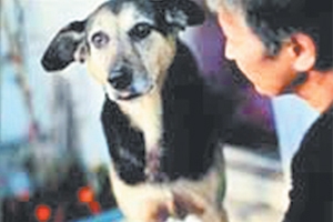 Benim ülkem ırkçı tehdide ceza vermez