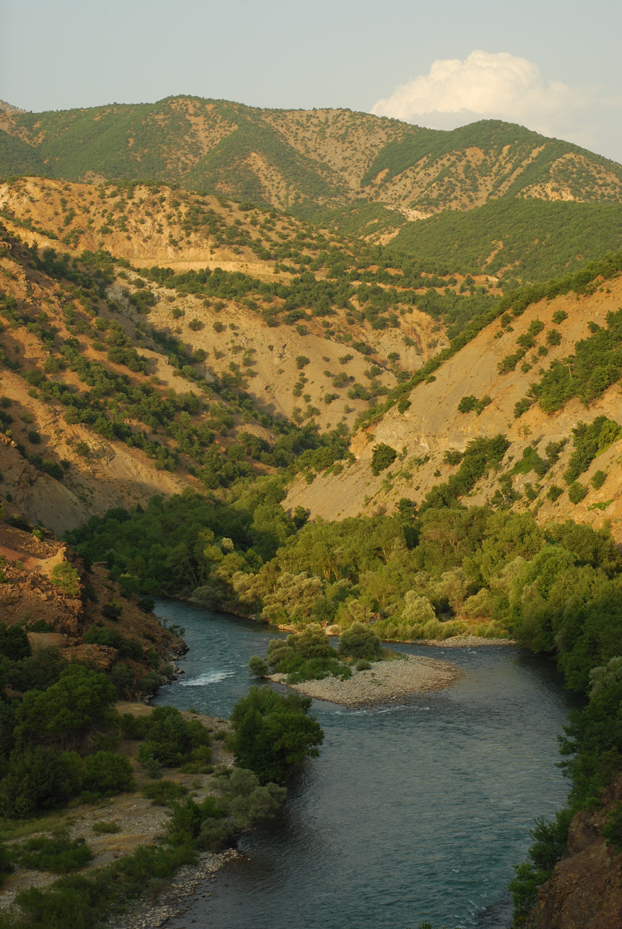 Առաջին անգամ