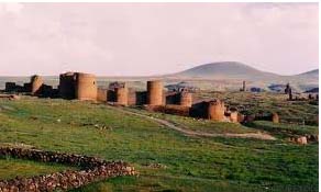 Հայկական թագավորանիստ Անիում հայերեն ոչ մի բառ չկա. Vatan
