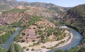 Տէրսիմահայութեան զօրակցութեան օր Զուիցերիոյ մէջ