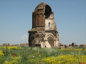 Ստորագրահաւաք ի նպաստ Անիի եկեղեցիներու պահպանման