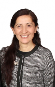 «Սևանա լիճը շատ նման է Վանա լճին». Վանի համաքաղաքապետ