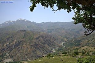 «Գըսեր Ղարաբաղ, Ղարաբաղ…Փան մը չէի հասգնա, ամա ըմ սիրդ ընբես կը թռթռար օր, լա’ո». Սասունի առաջին ռադիոն ու հայ հովիվը