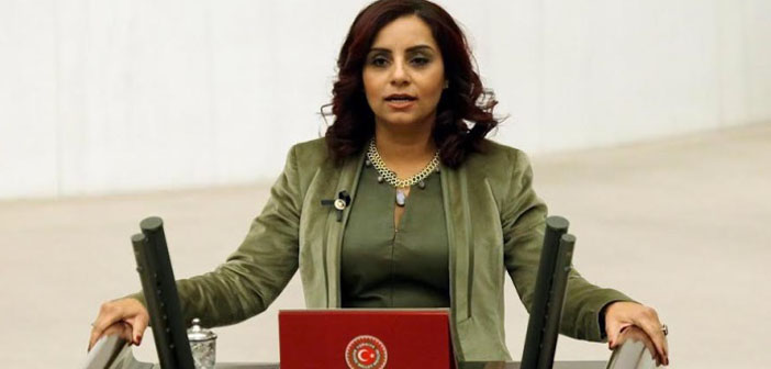 Տողան խստօրէն քննադատեց սահմանադրութիւնը փոխելու արշաւը