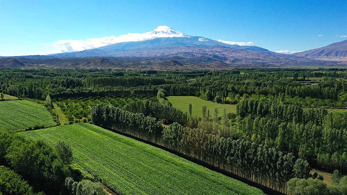 Արարատ լեռան վրա ձյուն է տեղացել