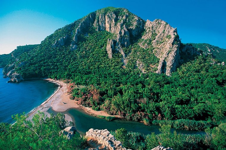 Մուսա լերան առիւծը