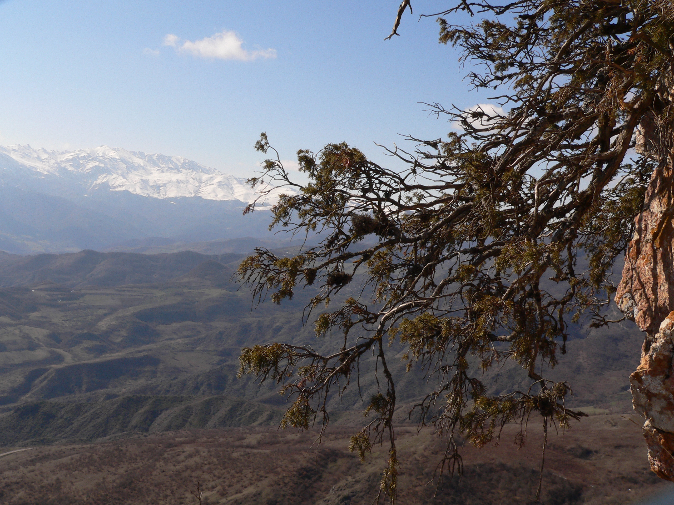 Սիւնիքը ազերի-թուրքի ճաշասեղանին